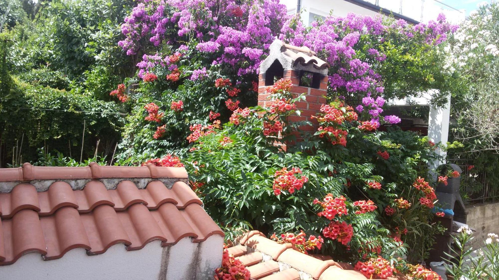 Apartments Salona Trogir Rom bilde